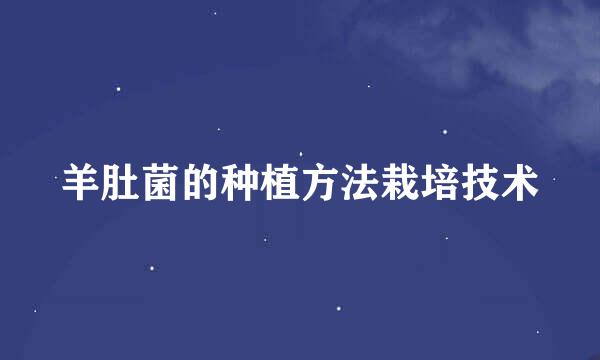 羊肚菌的种植方法栽培技术