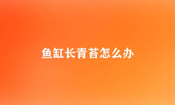 鱼缸长青苔怎么办
