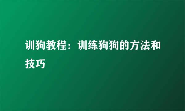 训狗教程：训练狗狗的方法和技巧