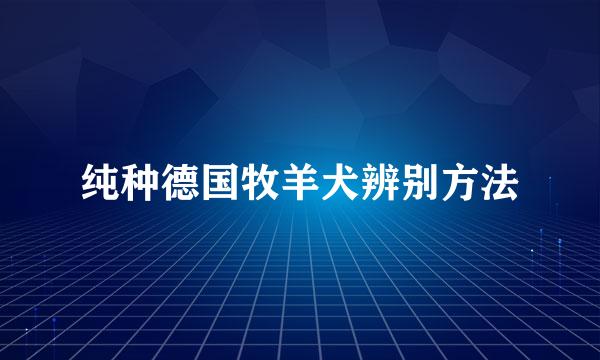 纯种德国牧羊犬辨别方法