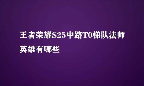 王者荣耀S25中路T0梯队法师英雄有哪些