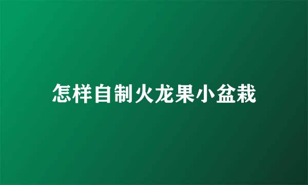 怎样自制火龙果小盆栽
