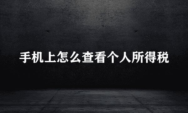 手机上怎么查看个人所得税