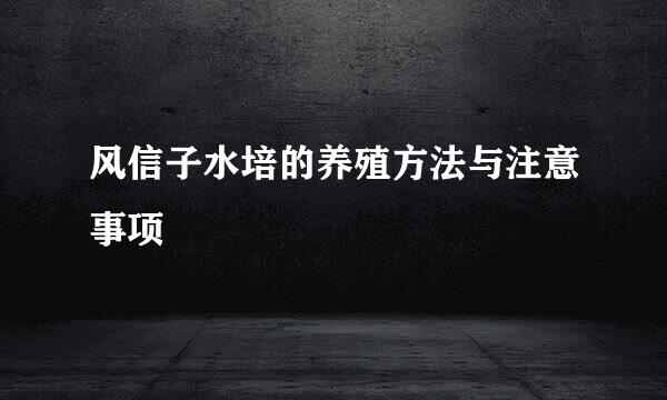 风信子水培的养殖方法与注意事项