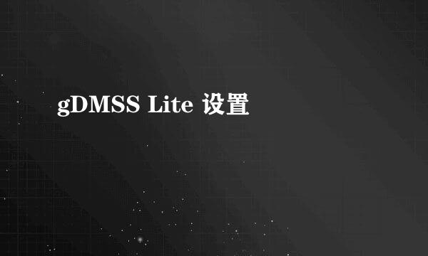 gDMSS Lite 设置