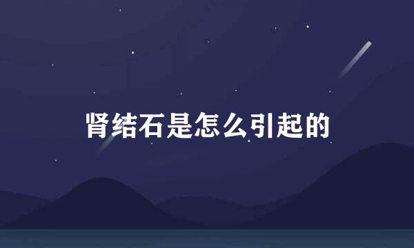 肾结石是怎么引起的