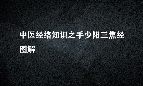 中医经络知识之手少阳三焦经图解