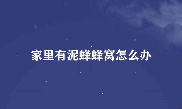 家里有泥蜂蜂窝怎么办