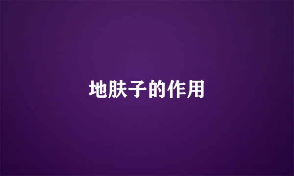 地肤子的作用