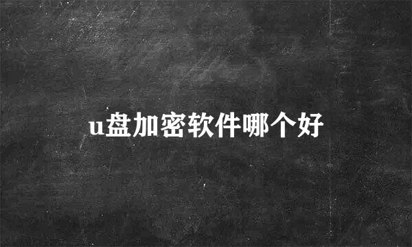 u盘加密软件哪个好