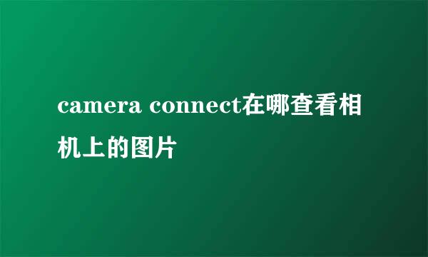 camera connect在哪查看相机上的图片
