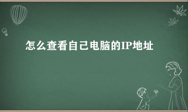 怎么查看自己电脑的IP地址