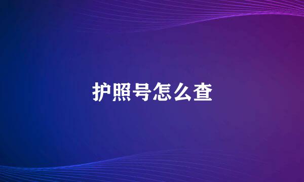 护照号怎么查