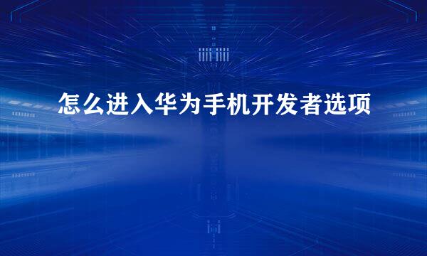 怎么进入华为手机开发者选项