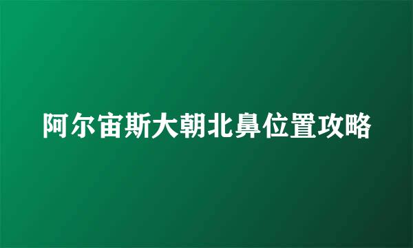 阿尔宙斯大朝北鼻位置攻略