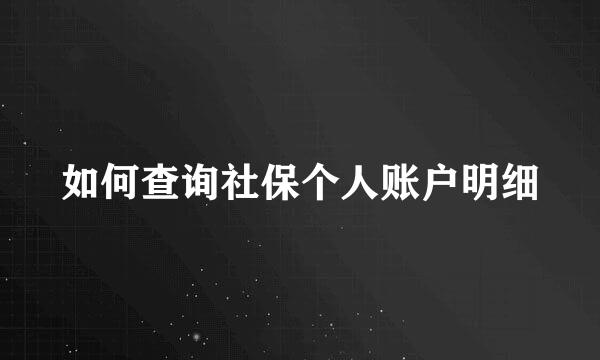 如何查询社保个人账户明细