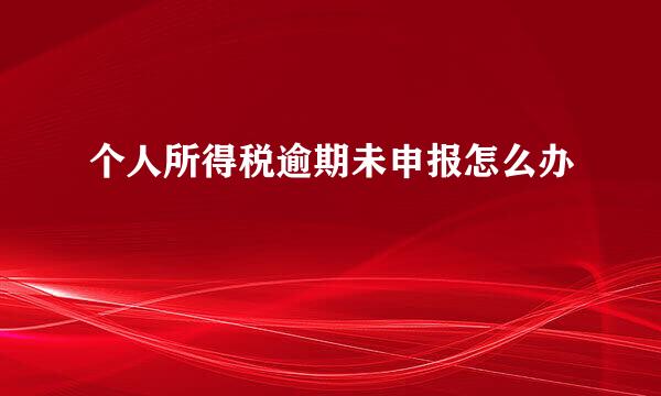 个人所得税逾期未申报怎么办