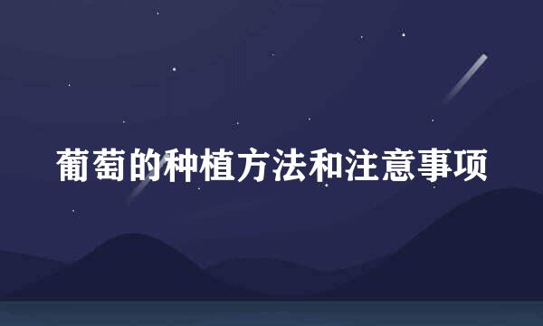 葡萄的种植方法和注意事项