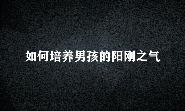 如何培养男孩的阳刚之气