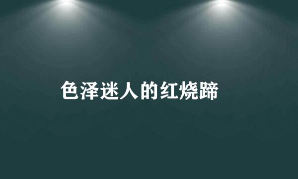 色泽迷人的红烧蹄髈