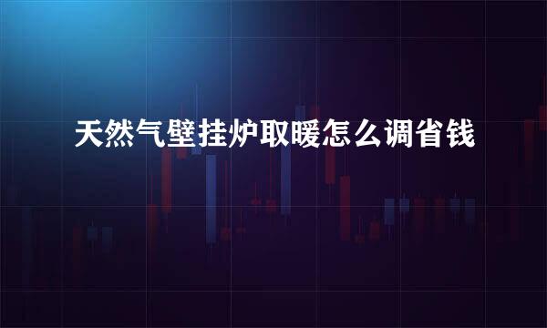 天然气壁挂炉取暖怎么调省钱
