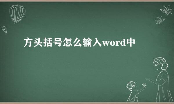 方头括号怎么输入word中
