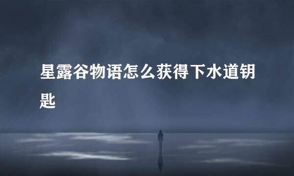 星露谷物语怎么获得下水道钥匙