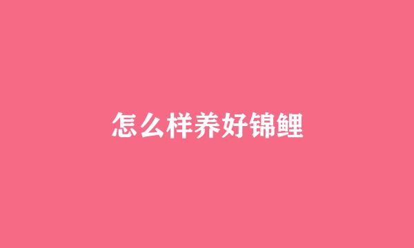 怎么样养好锦鲤