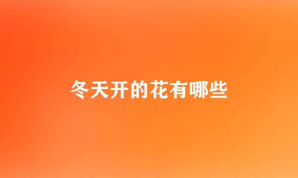 冬天开的花有哪些