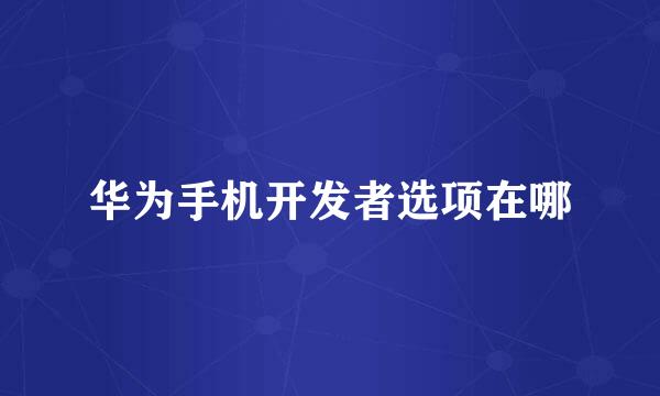 华为手机开发者选项在哪
