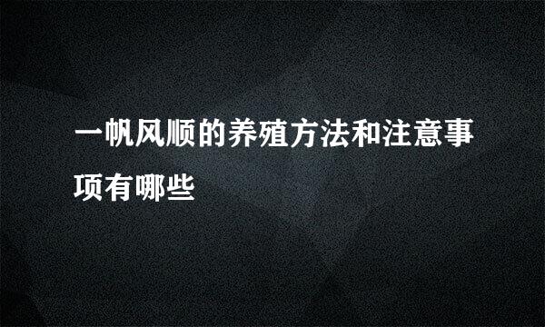 一帆风顺的养殖方法和注意事项有哪些