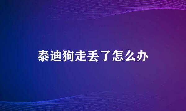 泰迪狗走丢了怎么办