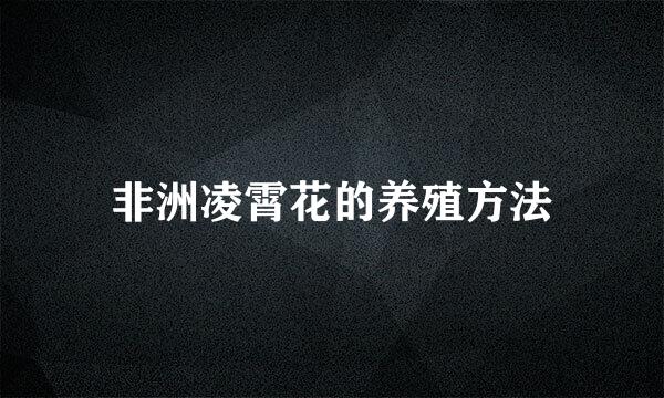 非洲凌霄花的养殖方法