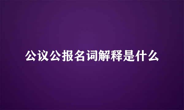 公议公报名词解释是什么