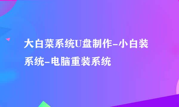 大白菜系统U盘制作-小白装系统-电脑重装系统