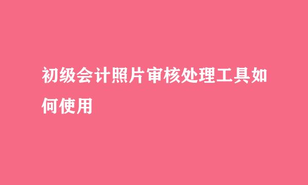 初级会计照片审核处理工具如何使用