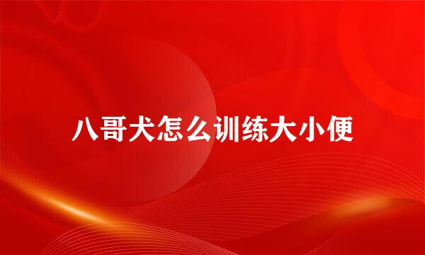 八哥犬怎么训练大小便