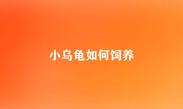 小乌龟如何饲养