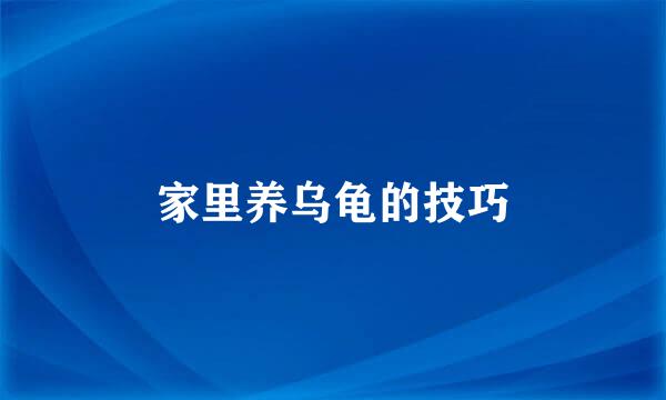 家里养乌龟的技巧