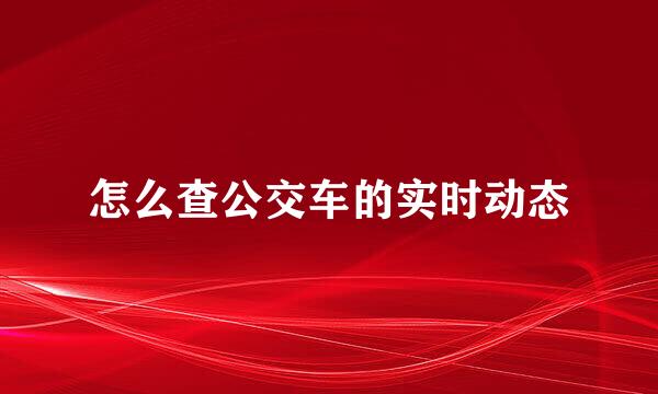 怎么查公交车的实时动态
