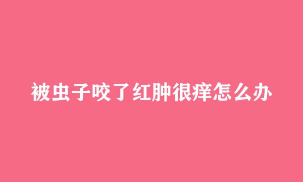 被虫子咬了红肿很痒怎么办