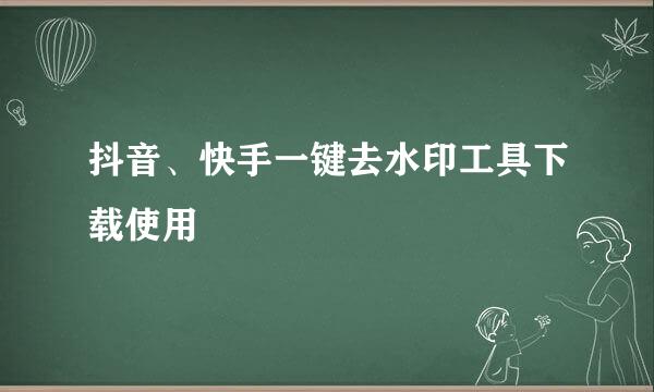 抖音、快手一键去水印工具下载使用