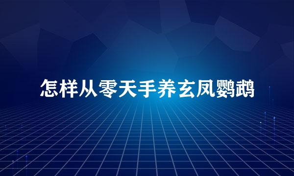 怎样从零天手养玄凤鹦鹉