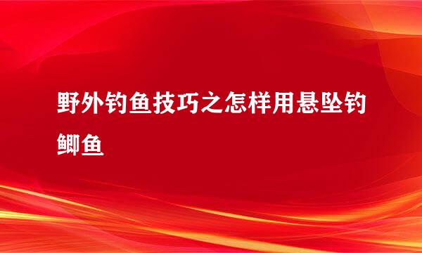 野外钓鱼技巧之怎样用悬坠钓鲫鱼