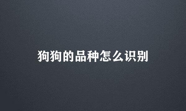 狗狗的品种怎么识别