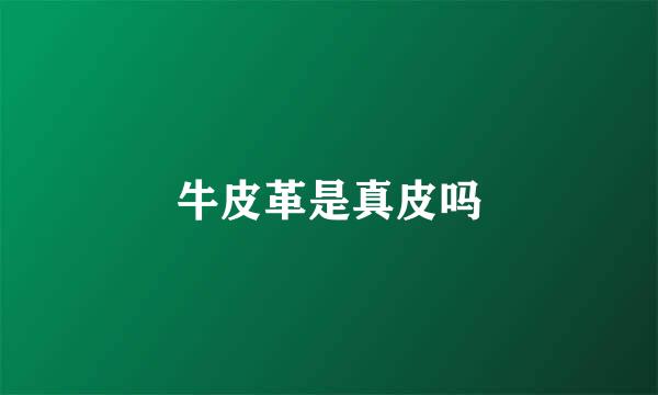 牛皮革是真皮吗