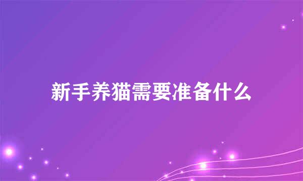 新手养猫需要准备什么