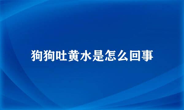 狗狗吐黄水是怎么回事
