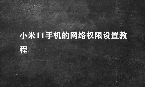 小米11手机的网络权限设置教程