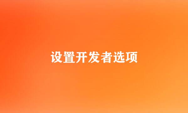 设置开发者选项